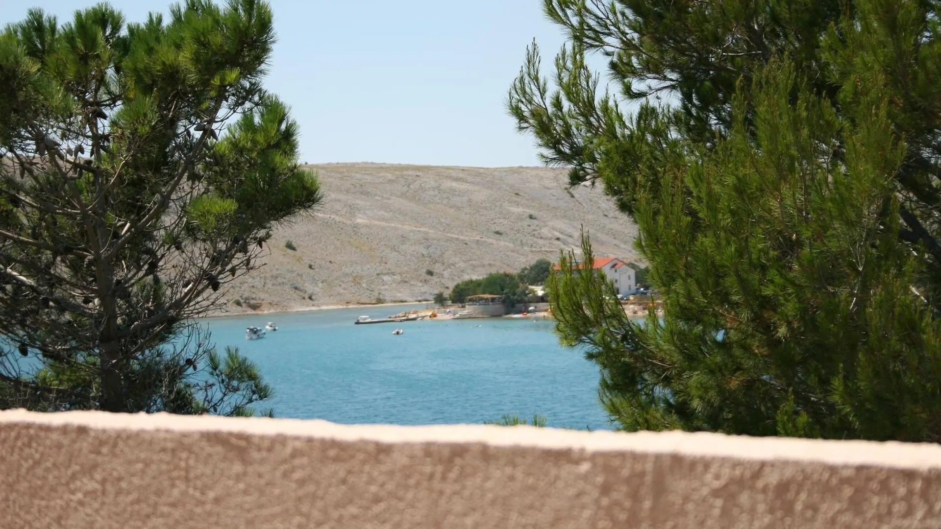 Homestay Apartmani Sara Vlasici